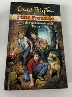 Fünf Freunde und die geheimnisvolle Ruine Buch neu