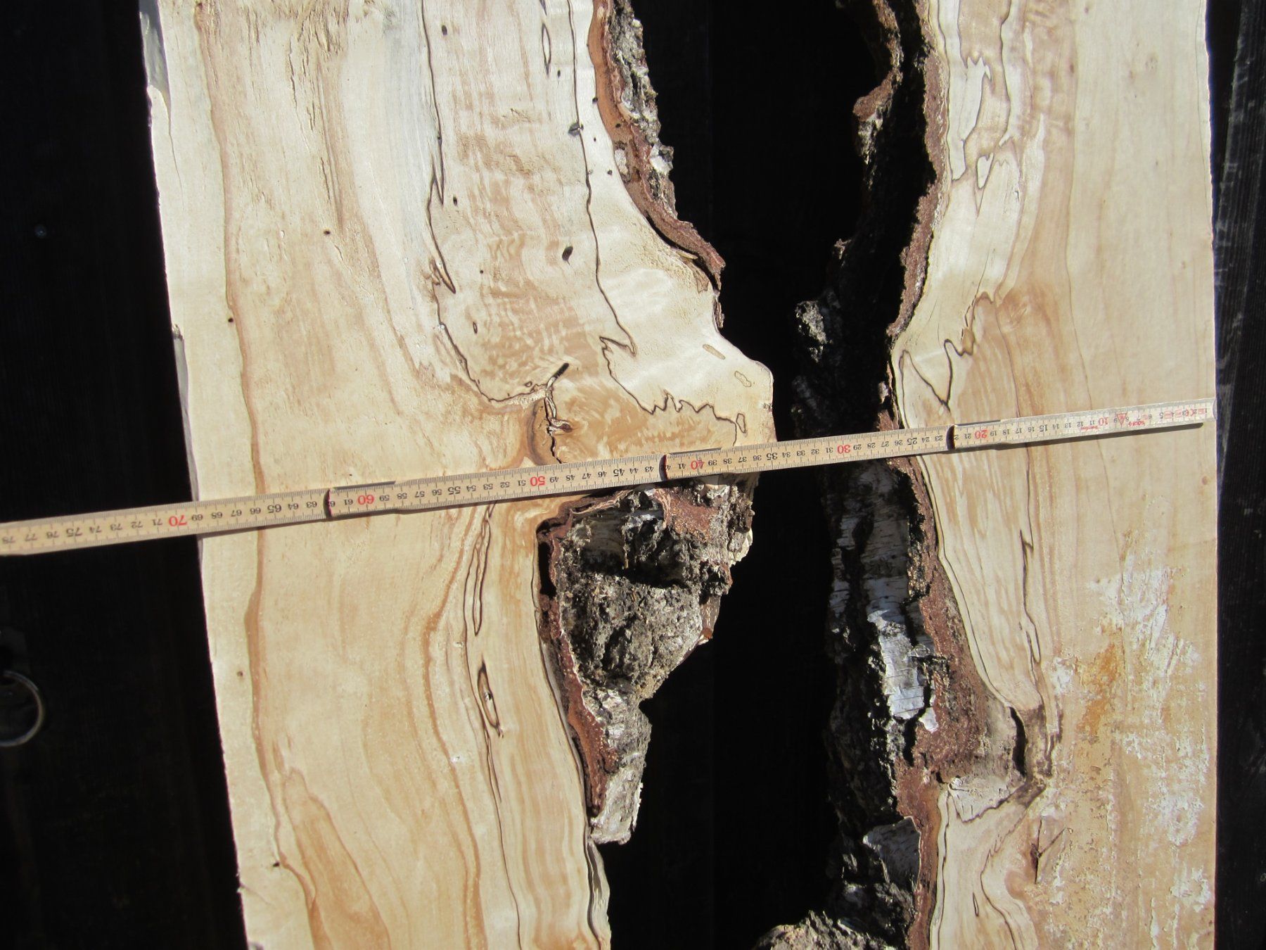 Articoli in legno: Holz für Epoxy Tischplatte – Nuovo (secondo la descrizione) da Nesslau venduto da Jakobi01 1