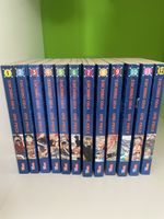 One Piece Manga Sammlung (Band 1-12)