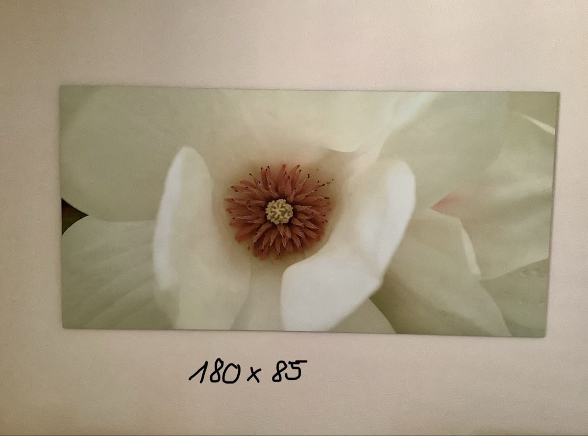 Foto & Immagini: Grosses Wandbild  – Usato da Seuzach venduto da 68canada