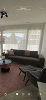 Sofa grau, Stoff, guter Zustand, wenig benutzt