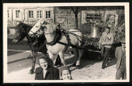 Foto-AK Seuzach, Geschmücktes Pferdefuh