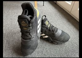 Adidas Pro Bounce 2019 homme taille 39.5