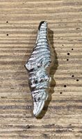Kerzenstecker für Kerzen/gr. Muscheln