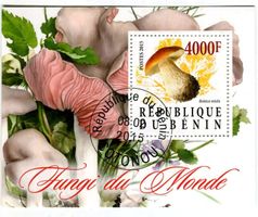 Block "Pilze". Benin.