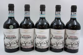 5x Resilience Nero d'Avola Sicilia 2023 (26081664Z)
