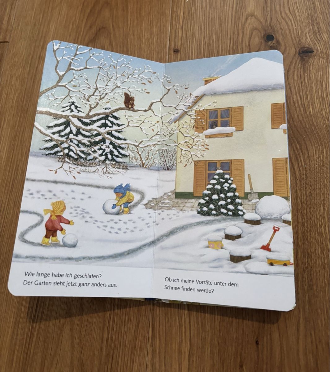 Libri: "Ich bin das kleine Eichhörnchen" - Ravensburger Buch – Usato da Jegenstorf venduto da Annina0506 6