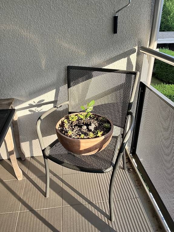 Tischset: Massiver Gartentisch mit 5 Stühlen – Gebraucht aus Baar von livia92 2