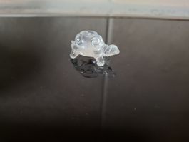 Glas Schildkröte