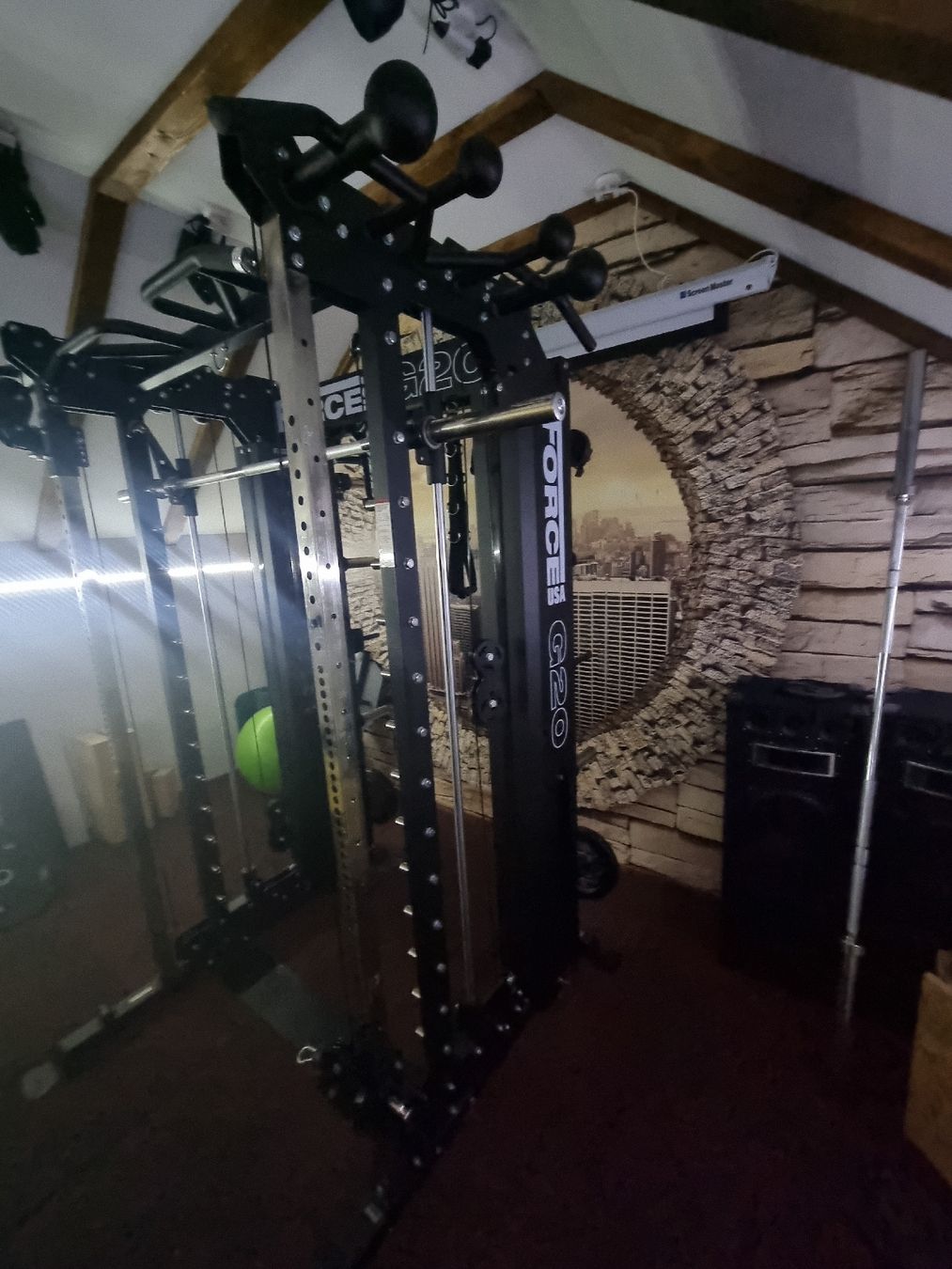 Hometrainer: Kraftstation Force USA G20 – Usato da Oberbussnang venduto da koc_lnl8 3