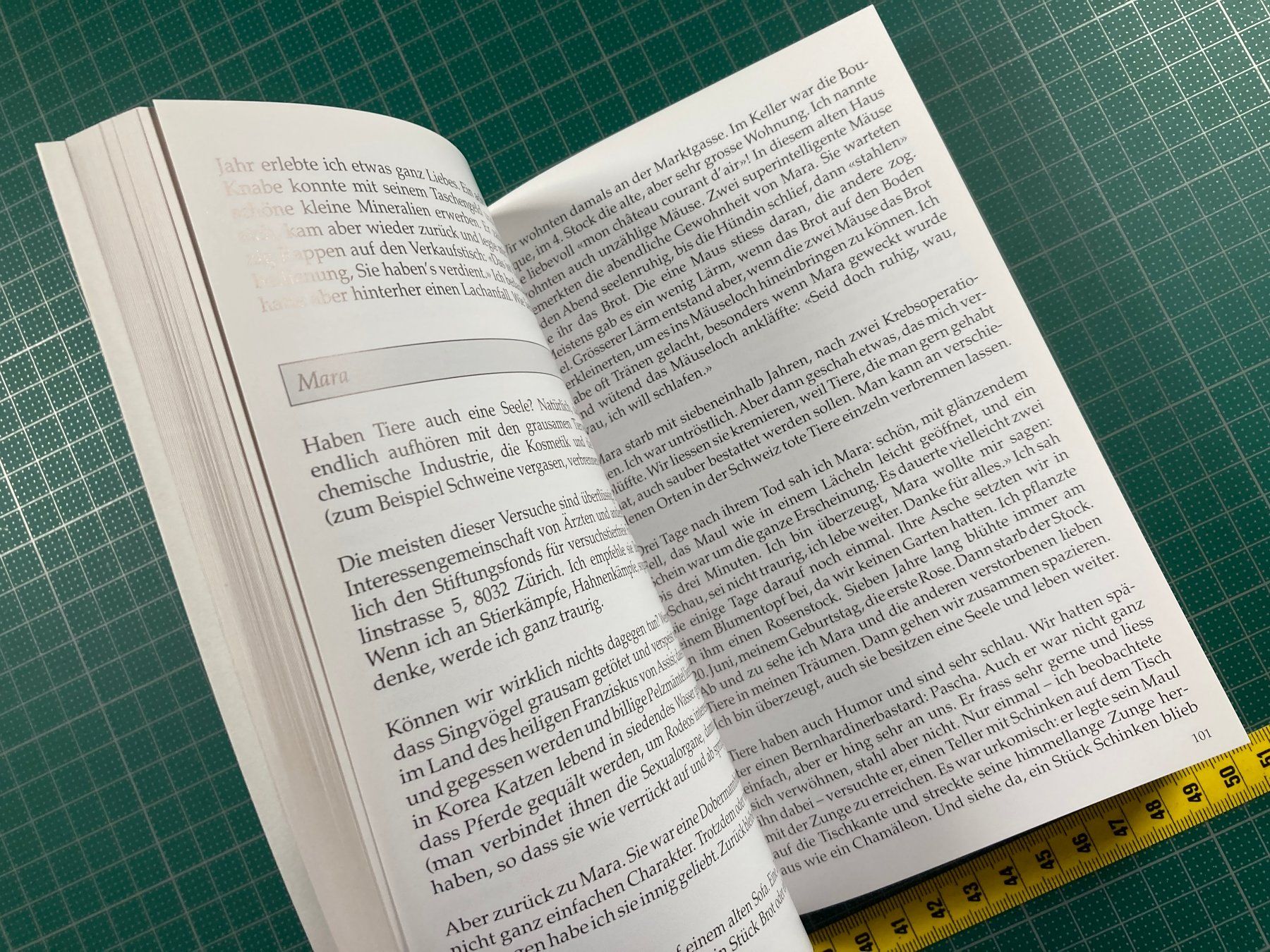 Libri: Eliette von Siebenthal: Hilf dir selbst...mit einem Stein – Usato da Lenzburg venduto da fh1 8