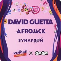 1 Billet Venoge Festival David Guetta 11.08.2026