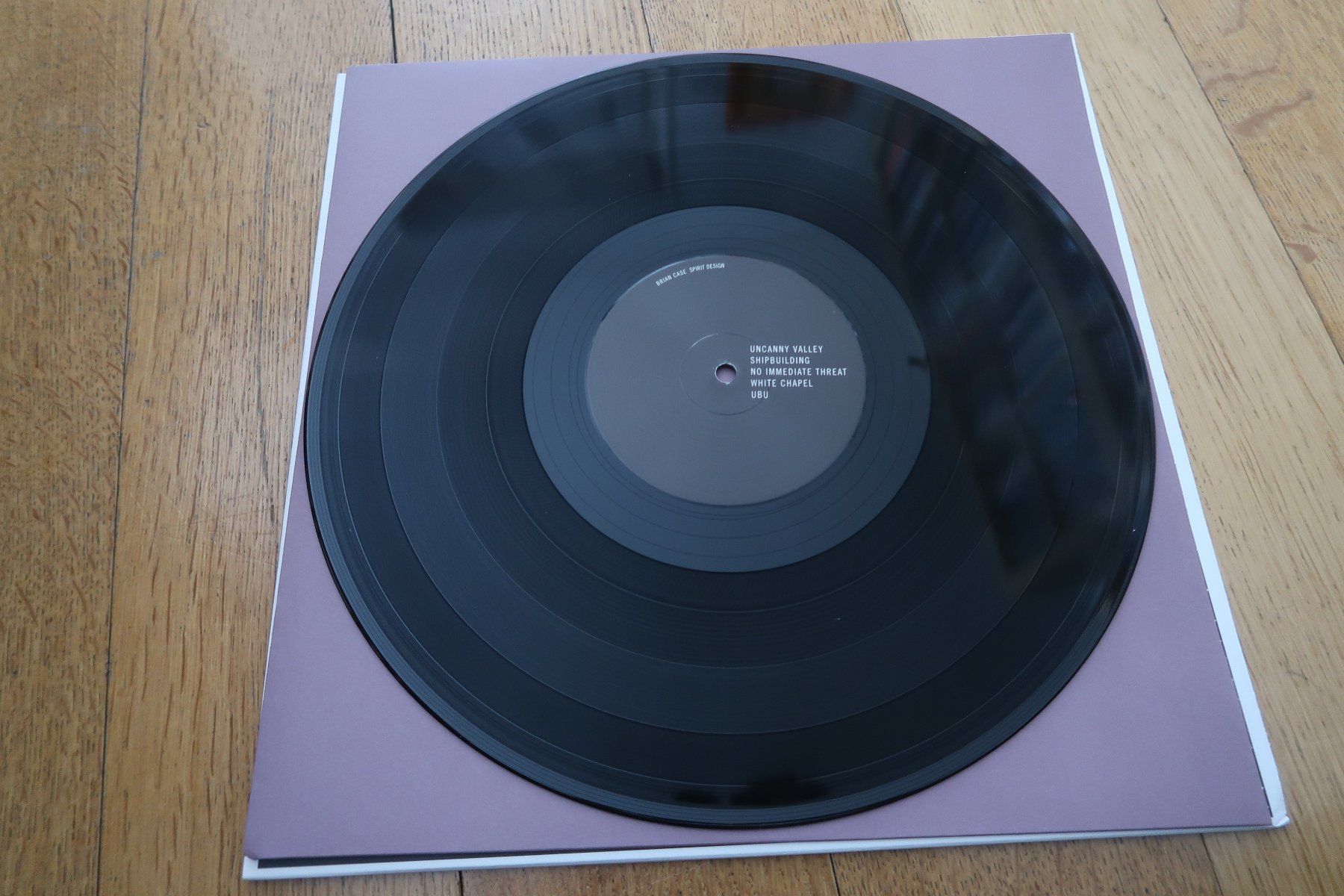 Dischi in vinile: BRIAN CASE - SPIRIT DESIGN - VINYL LP – Usato da Basel venduto da Patiscat 3