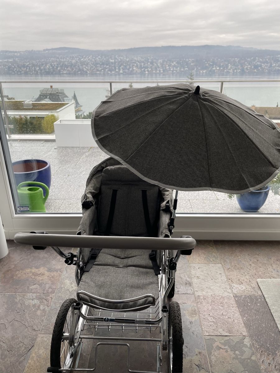 Carrozzine: Kinderwagen – Usato da Kilchberg ZH venduto da juliak20 5