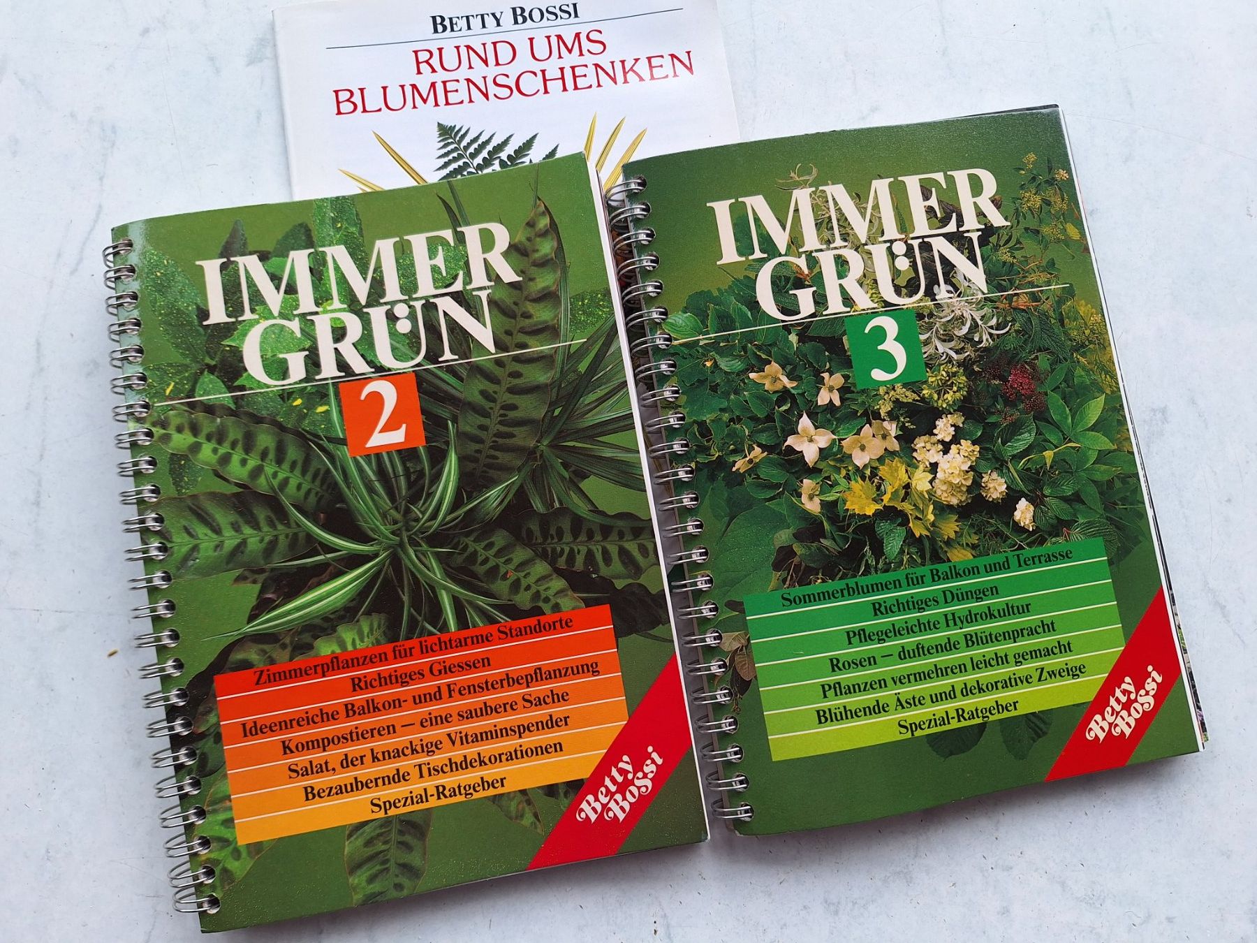 Libri: BB IMMERGRÜN 2 & 3 – Usato da Huttwil venduto da Kunterbuntli