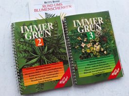 BB IMMERGRÜN 2 & 3