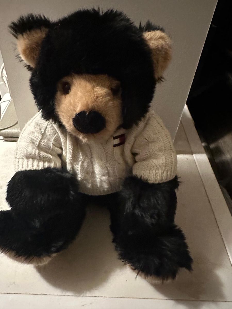 Giocattoli: Tommy Hilfiger Teddy Bear – Usato da Moosseedorf venduto da ram_c65w