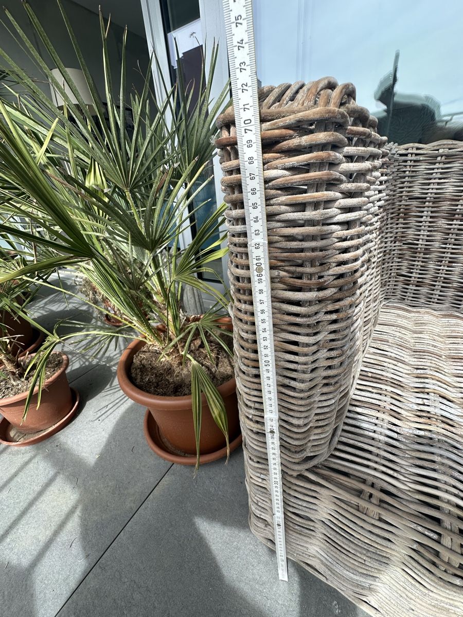 Divani: Rattan Sofa 2-Sitzer, Wetterfest – Usato da Rotkreuz venduto da sti_cdf8 1