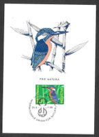 Maximumkarte Nr. 439 Eisvogel Sonderstempel S. 616 1966