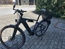 2019 IBEX E-Avantgarde Neo 56 Men - 45km/h - nur 1900km