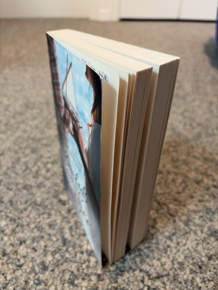 Bücher: Barfuss am See - Denise Hunter – Gebraucht aus Oberentfelden von mir_y2yj 3