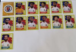 Panini WM 2026 - Haiti Set 13 Stk. Inkl. Wappen 