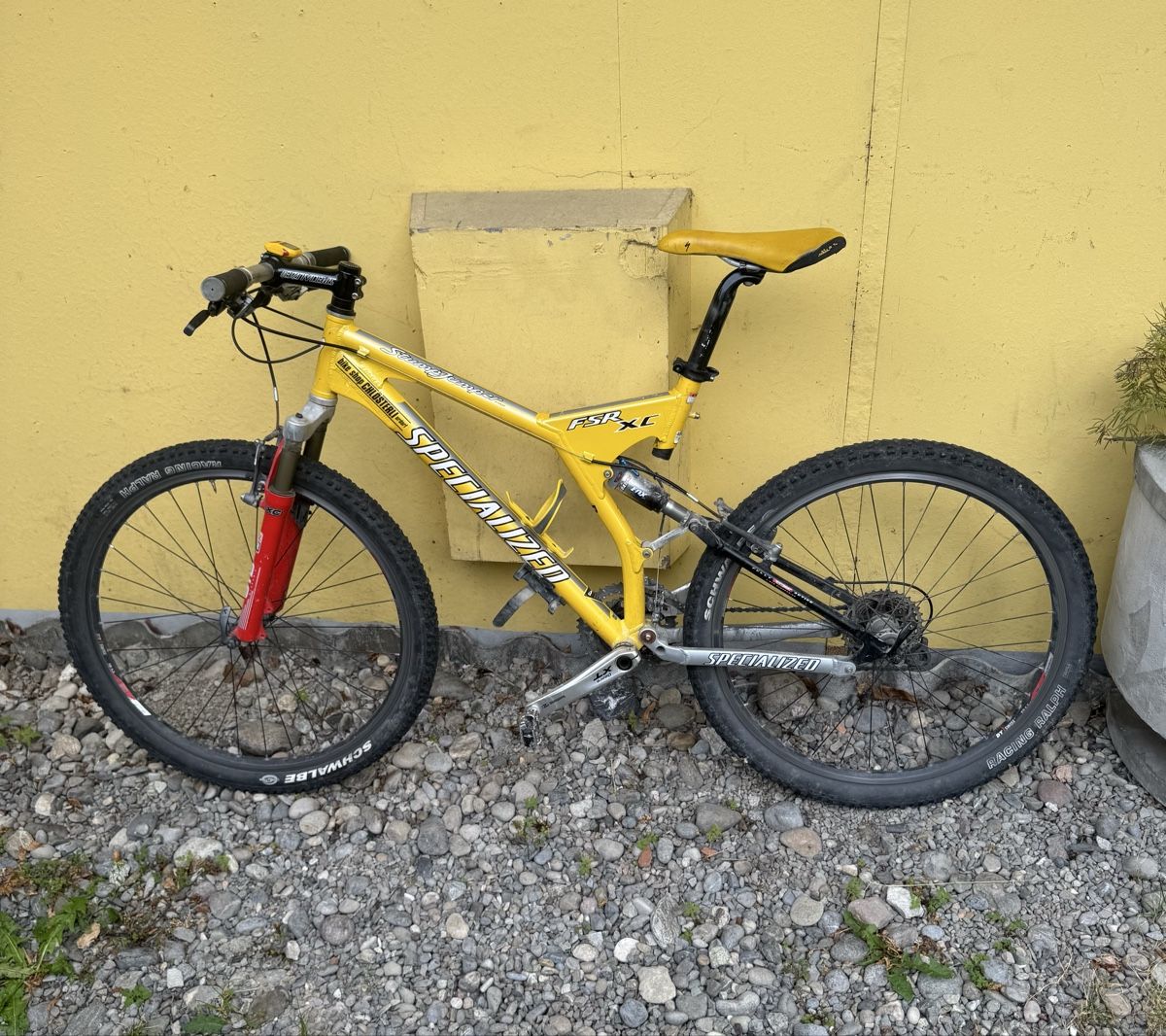 Specialized Velos: Specialized Velo  – Gebraucht aus Schlieren von Freundlich02