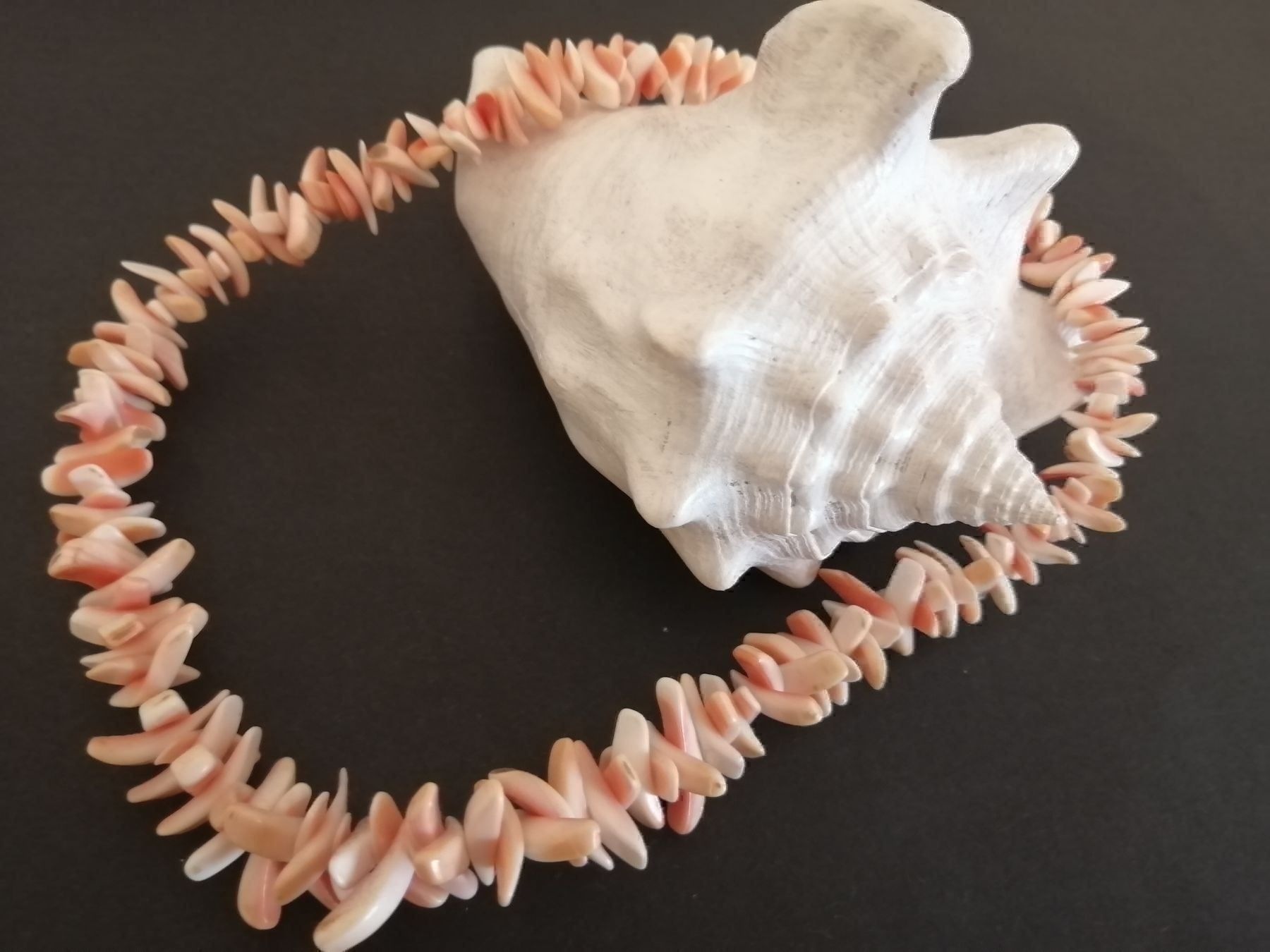 Catenine: Prachtvolles Muschel COLLIER – Usato da Nunningen venduto da mochflo 3