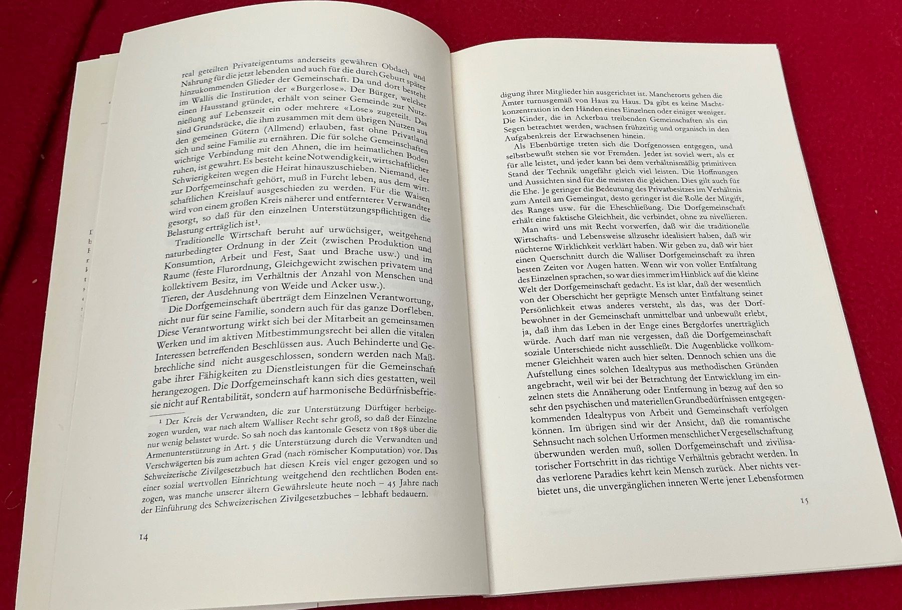 Libri: Arnold Niederer: Gemeinwerk im Wallis – Usato da Naters venduto da seidengut 6