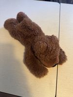 Plüschbär liegend braun Plüschtier guter Zustand