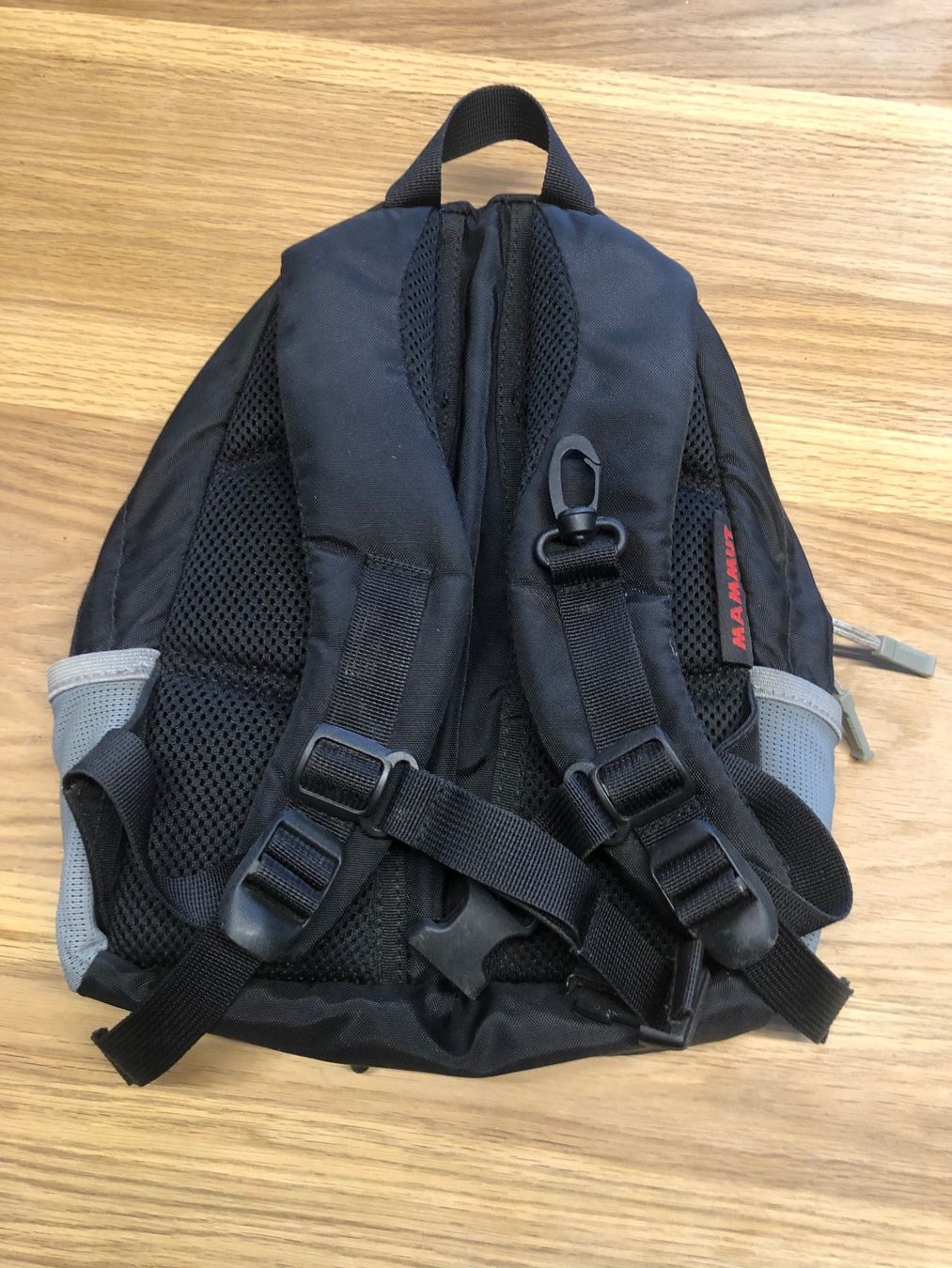 Mammut Borse & Zaini: Kinderrucksack Mammut – Usato da Muri AG venduto da Ariete81 1