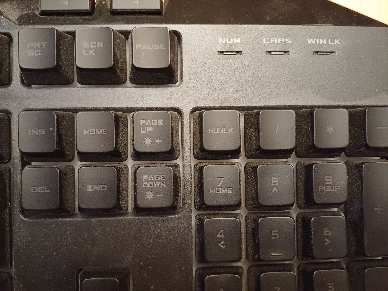 Tastiere: Cooler Master Devastator 3 Gaming Tastatur LED – Usato da Windlach venduto da lanuj 2