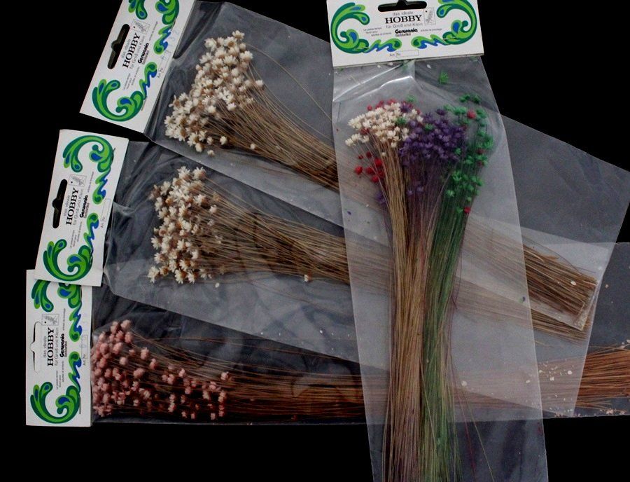 Kit bricolage: Trockenblumen – Nuovo e nell'imballaggio originale da Schlatt TG venduto da mavo85