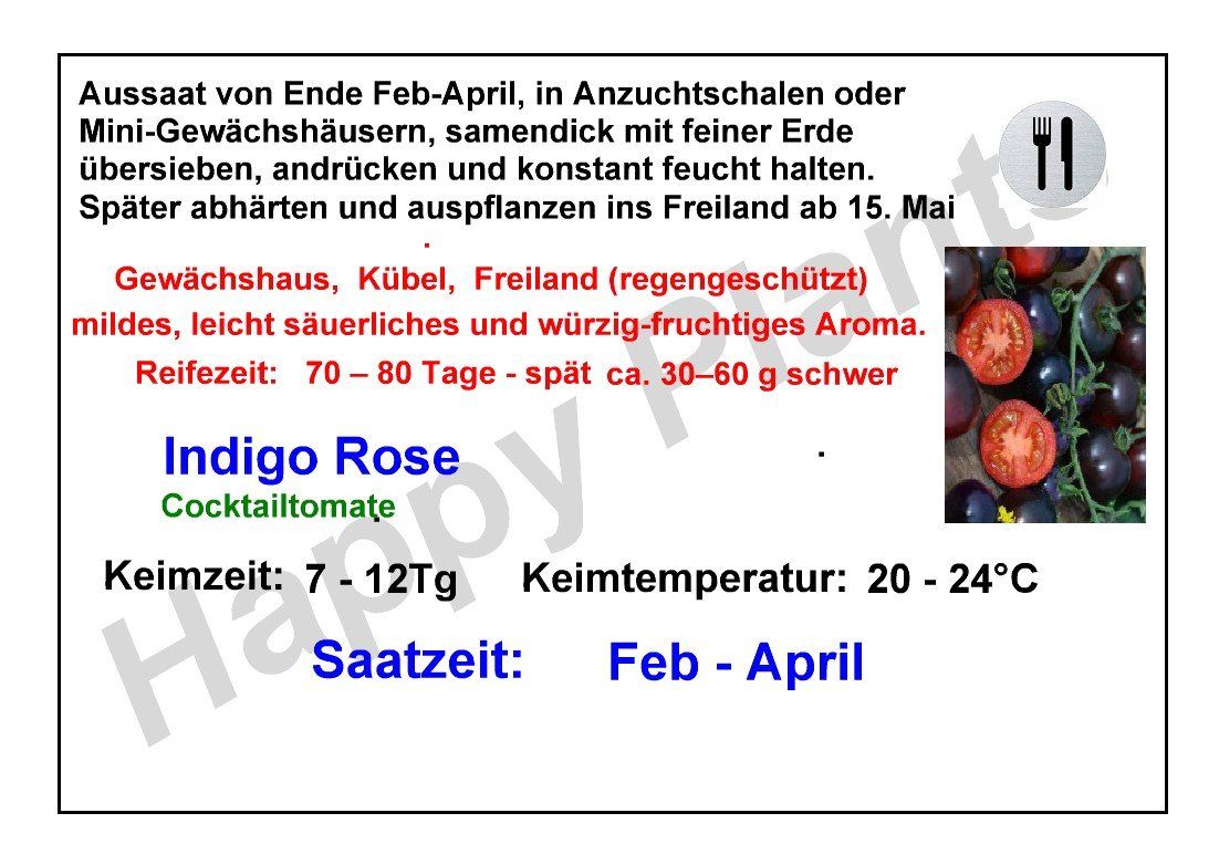 Piante & sementi: Indigo Rose - Cocktailtomate - 15 Samen – Nuovo e nell'imballaggio originale da Sumiswald venduto da Cham14559 2