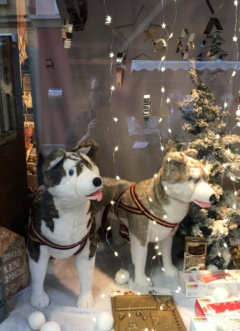 Tutte le decorazioni: AUTOMATES 1 OURS ET 2 HUSKIES – Usato da Vevey venduto da lairdutemps