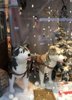 AUTOMATES 1 OURS ET 2 HUSKIES