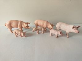 Schleich Schweine Familie Bauernhof Farm World Seuli Schwein
