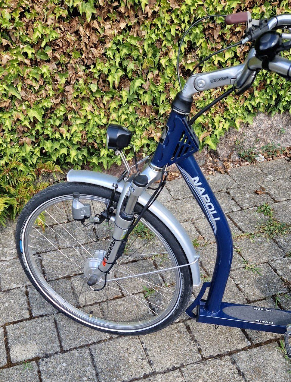 Veicoli elettrici: Elektro 3 Rad Velo – Usato da Seengen venduto da Pfoesu07 5