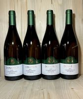Donatsch Passion 2019