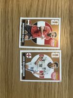Panini Extra Sticker bronze