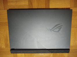 ASUS ROG STRIX G513RM