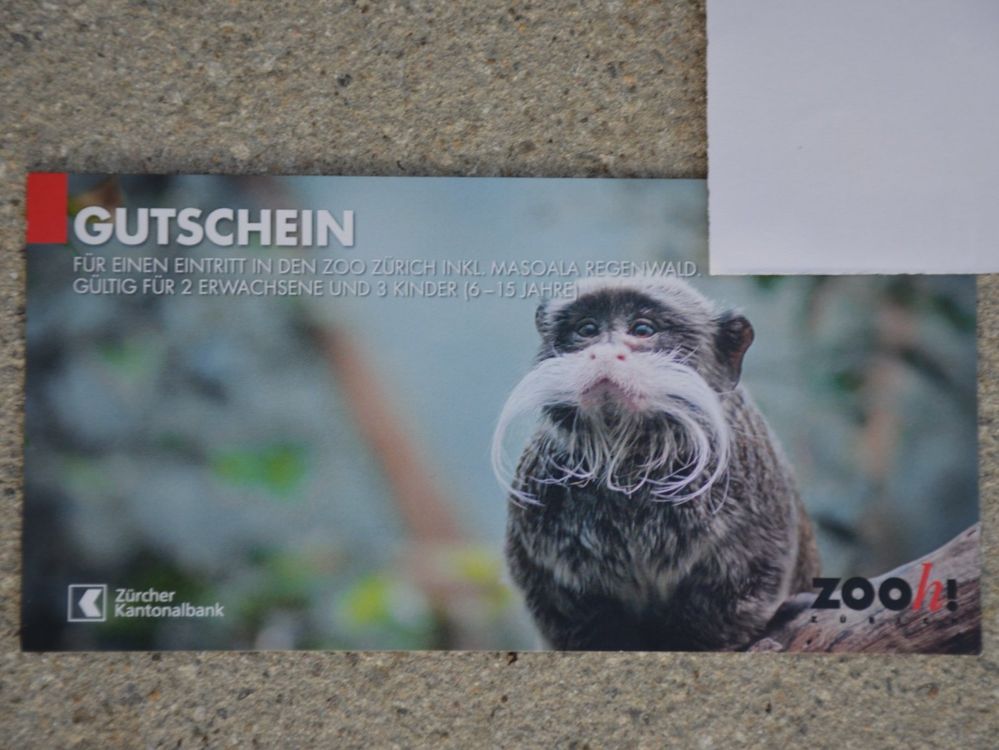 Zoo Zürich Familiengutschein Kaufen auf Ricardo
