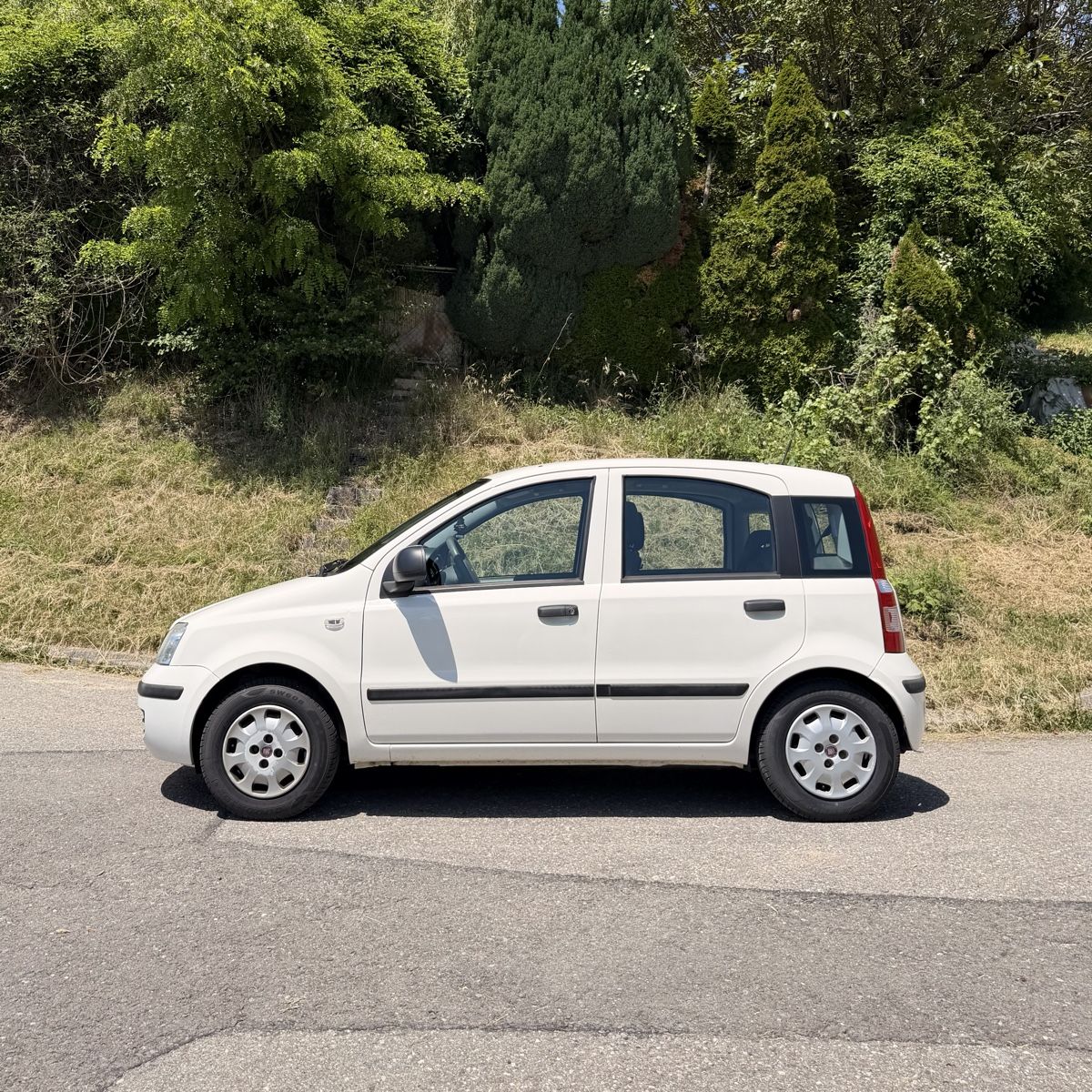 Fiat Automobili: Fiat Panda 1.2 – Usato da Grandvaux venduto da ali_y8f7