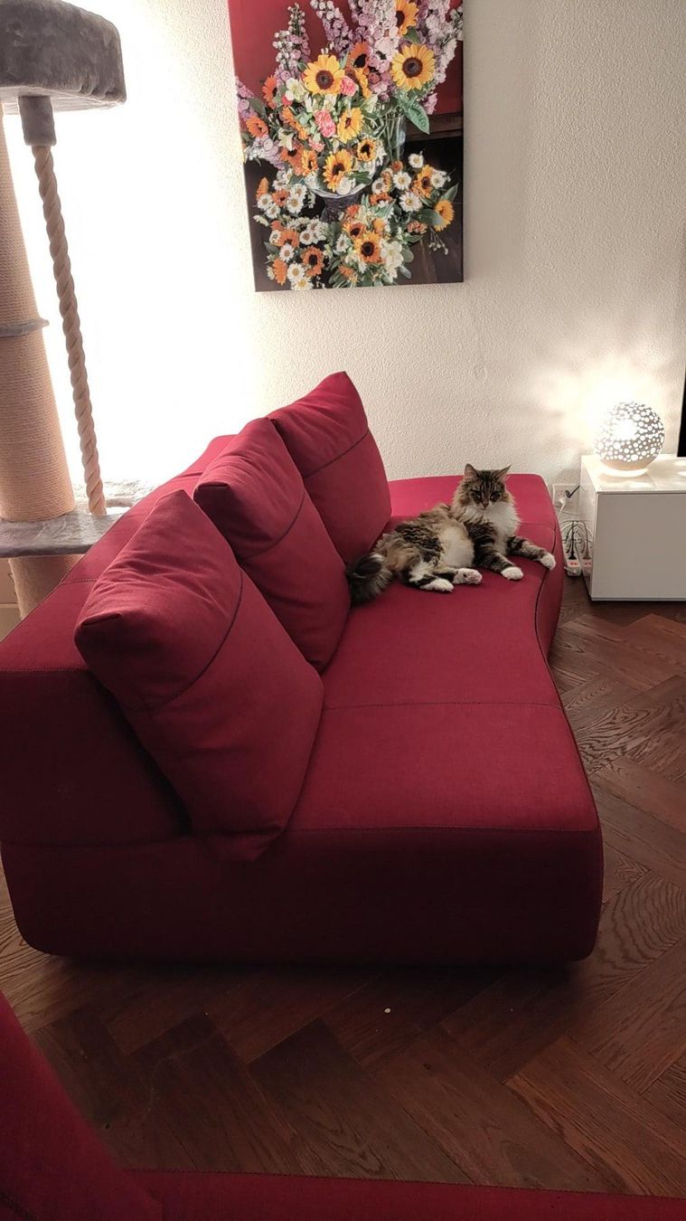 Divani: Ecksofa Marke Bend – Usato da Kriens venduto da Selina7208 2