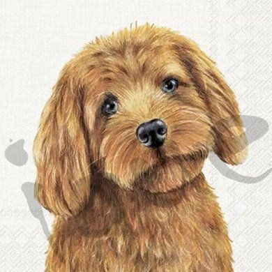 Tovaglioli: Serviette farm dog (1671) 2Stk. – Nuovo (secondo la descrizione) da Schlatt TG venduto da kreativ-atelier