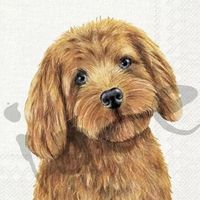 Serviette farm dog (1671) 2Stk.