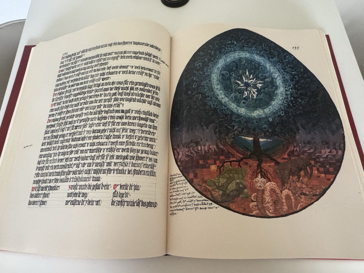 Libri: The Red Book - Carl Gustav Jung – Nuovo (secondo la descrizione) da Henniez venduto da ROCKZILLA 6