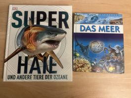 2 tolle Sachbücher über das Meer - Wissen für Kinder