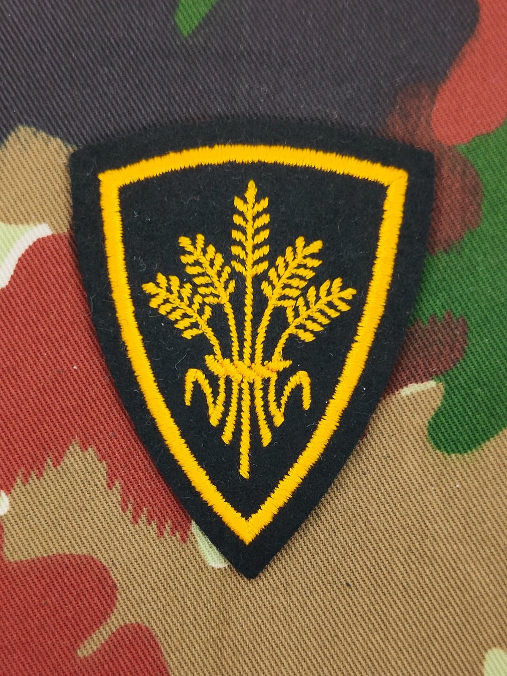 Schweizer Armee Placchette & Badge: Funktionsabzeichen Versorgung Ord. 1995 – Usato da Bauma venduto da SwissMilitaria