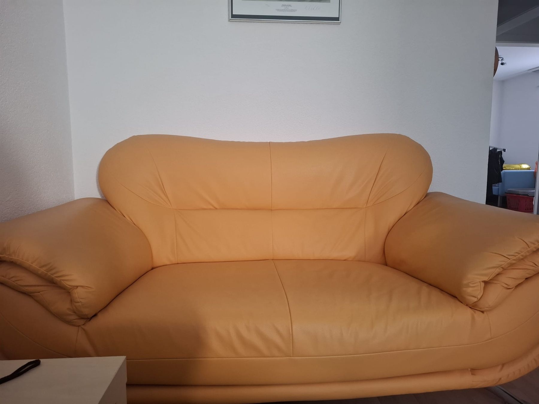Sofas: Divano 2 posti – D'occasion à Fribourg par lor_8wrj 1